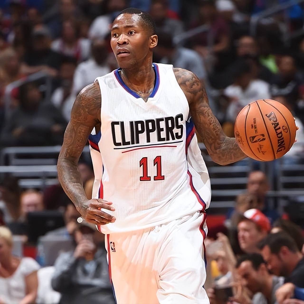 教练组据此 教练组据此